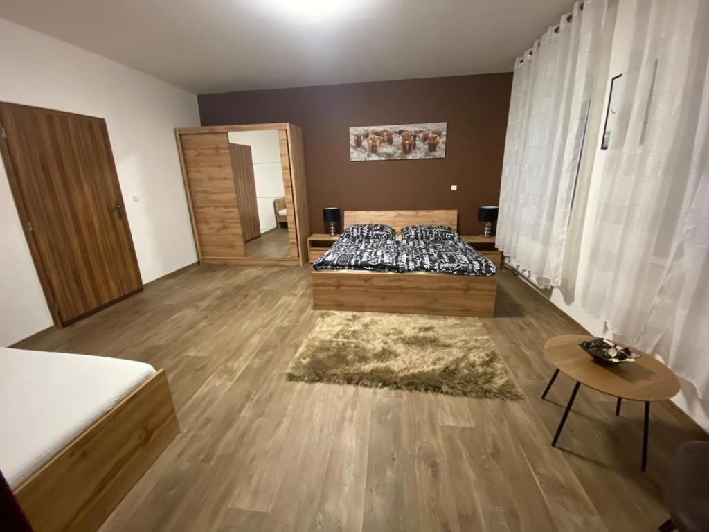 Apartmány Černý Tulipán #3 Plzeň Exterior foto